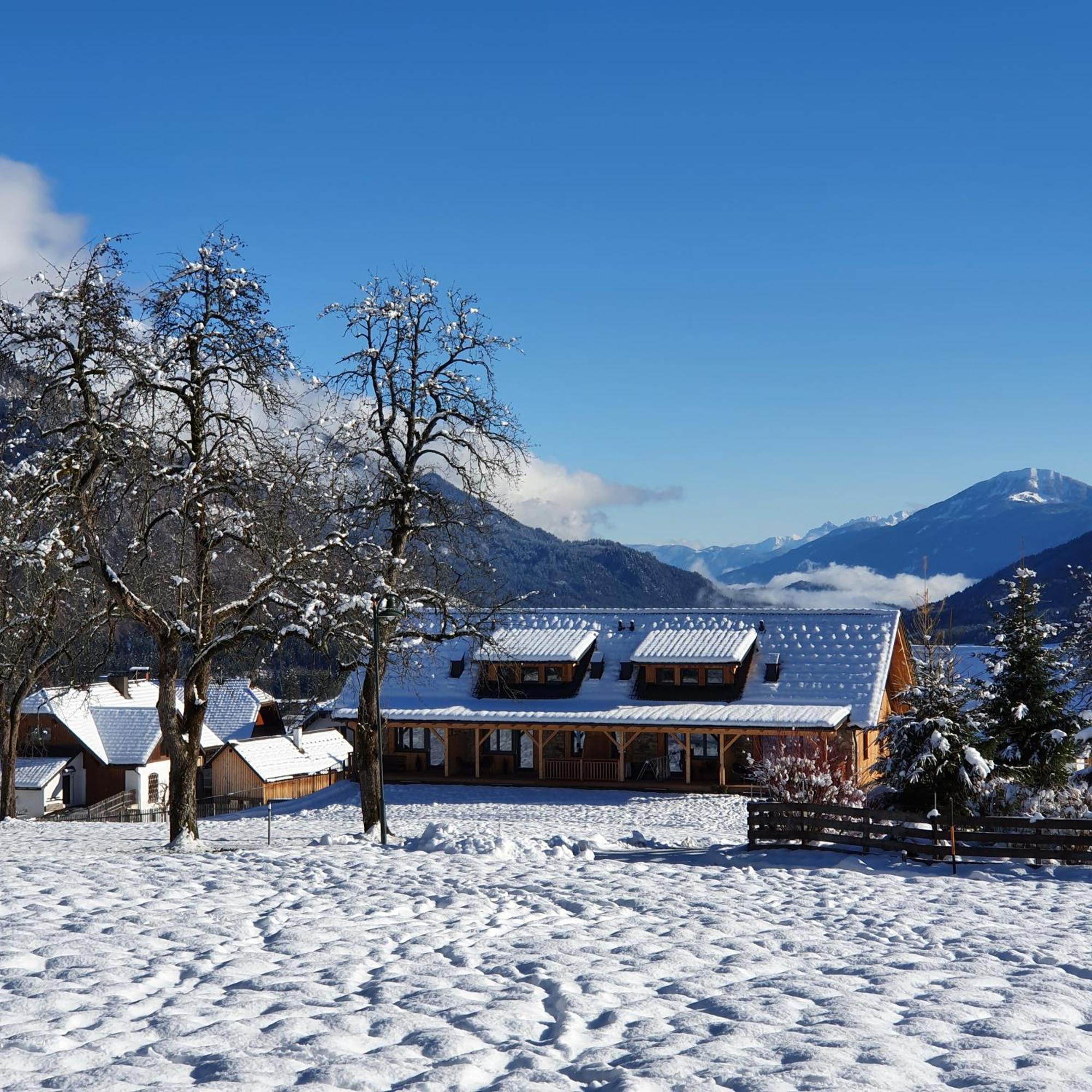 Nest Lodge Вайсбриах Экстерьер фото